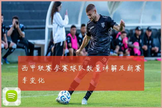 西甲联赛参赛球队数量详解及新赛季变化