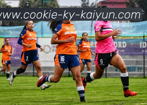 开云app平台生态图