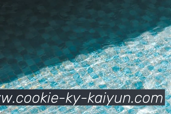 开云appAPP 封面图